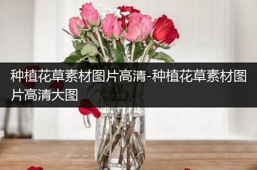 种植花草素材图片高清-种植花草素材图片高清大图