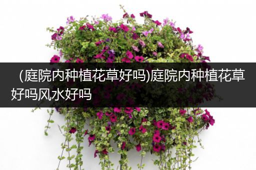 （庭院内种植花草好吗)庭院内种植花草好吗风水好吗