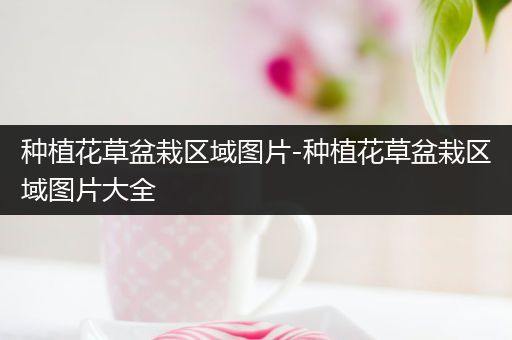 种植花草盆栽区域图片-种植花草盆栽区域图片大全
