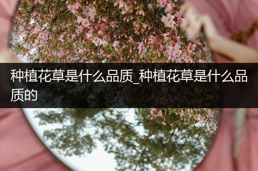 种植花草是什么品质_种植花草是什么品质的