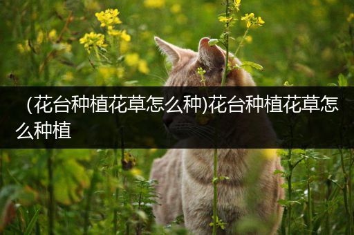 （花台种植花草怎么种)花台种植花草怎么种植