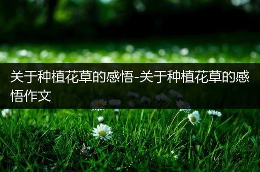 关于种植花草的感悟-关于种植花草的感悟作文