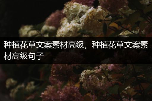 种植花草文案素材高级，种植花草文案素材高级句子