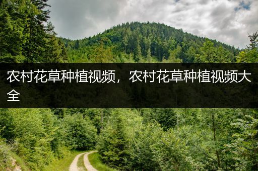 农村花草种植视频，农村花草种植视频大全