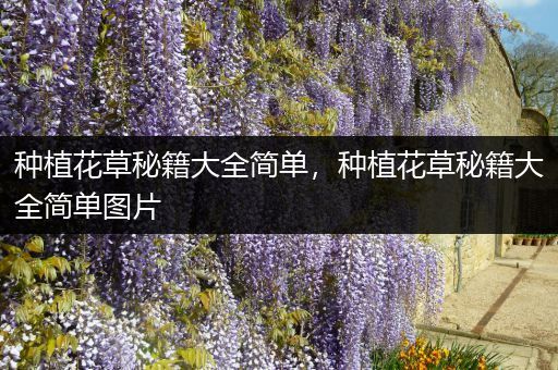 种植花草秘籍大全简单，种植花草秘籍大全简单图片