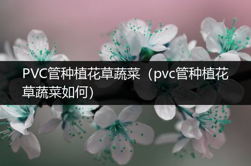 PVC管种植花草蔬菜（pvc管种植花草蔬菜如何）