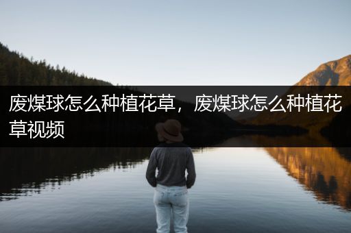 废煤球怎么种植花草，废煤球怎么种植花草视频