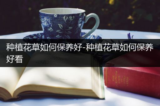 种植花草如何保养好-种植花草如何保养好看