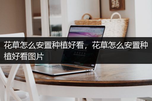 花草怎么安置种植好看，花草怎么安置种植好看图片
