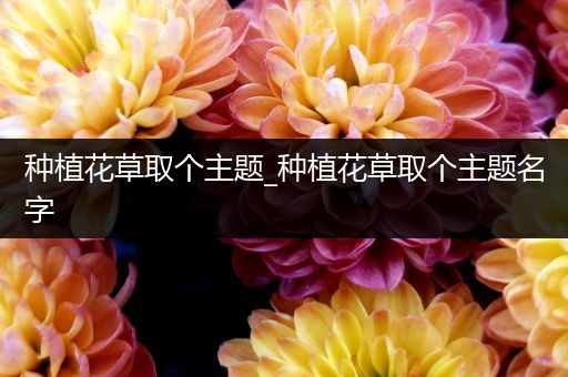 种植花草取个主题_种植花草取个主题名字
