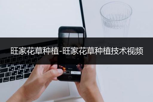旺家花草种植-旺家花草种植技术视频