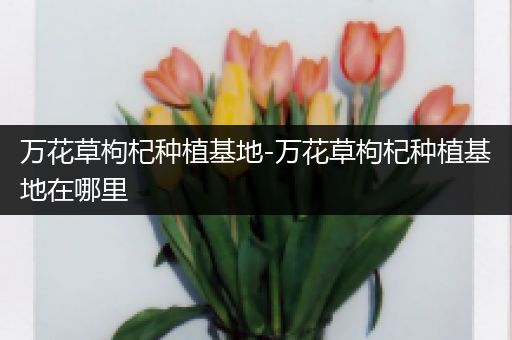 万花草枸杞种植基地-万花草枸杞种植基地在哪里