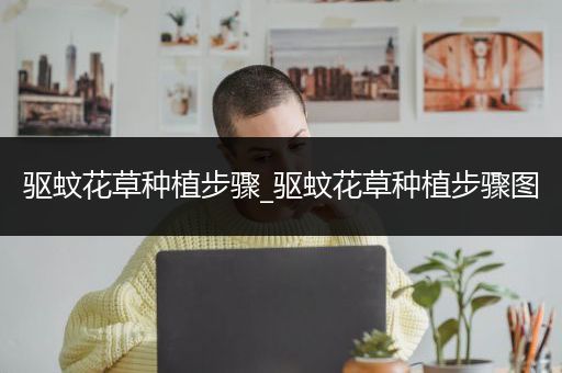 驱蚊花草种植步骤_驱蚊花草种植步骤图
