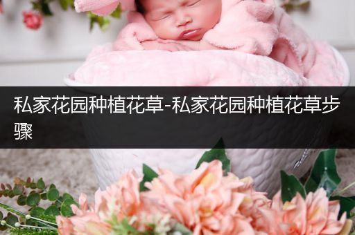 私家花园种植花草-私家花园种植花草步骤