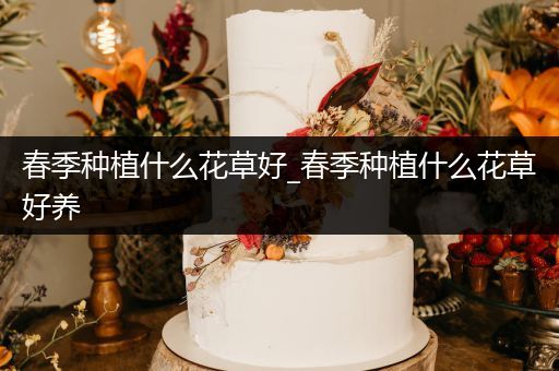 春季种植什么花草好_春季种植什么花草好养