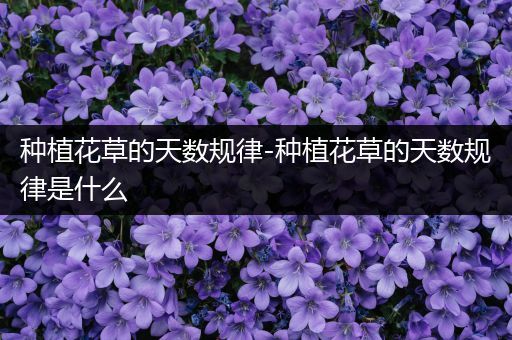 种植花草的天数规律-种植花草的天数规律是什么