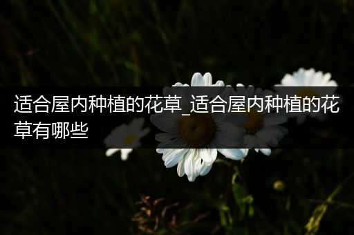 适合屋内种植的花草_适合屋内种植的花草有哪些