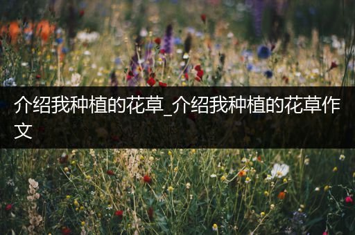 介绍我种植的花草_介绍我种植的花草作文