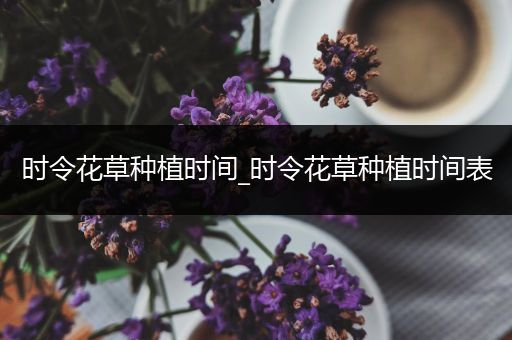 时令花草种植时间_时令花草种植时间表