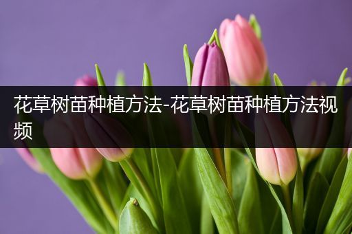 花草树苗种植方法-花草树苗种植方法视频
