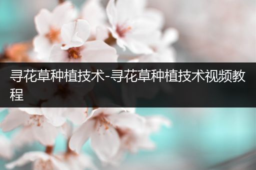 寻花草种植技术-寻花草种植技术视频教程