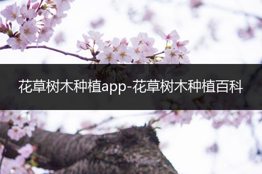 花草树木种植app-花草树木种植百科
