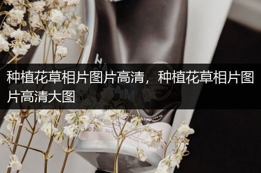 种植花草相片图片高清，种植花草相片图片高清大图