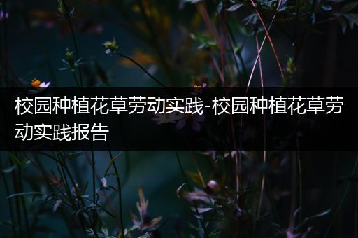 校园种植花草劳动实践-校园种植花草劳动实践报告