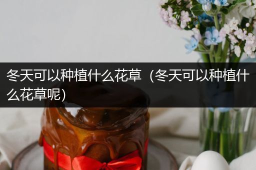冬天可以种植什么花草（冬天可以种植什么花草呢）