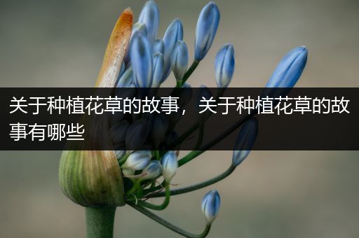 关于种植花草的故事，关于种植花草的故事有哪些