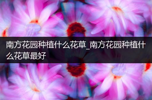 南方花园种植什么花草_南方花园种植什么花草最好
