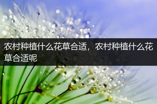 农村种植什么花草合适，农村种植什么花草合适呢