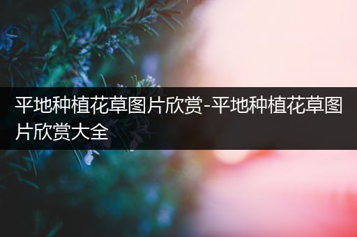 平地种植花草图片欣赏-平地种植花草图片欣赏大全