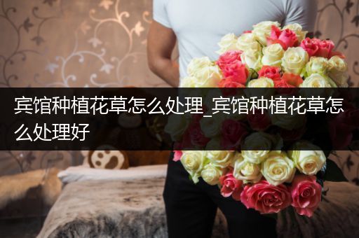 宾馆种植花草怎么处理_宾馆种植花草怎么处理好