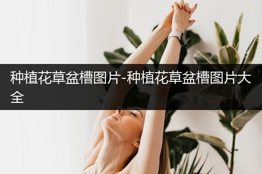 种植花草盆槽图片-种植花草盆槽图片大全