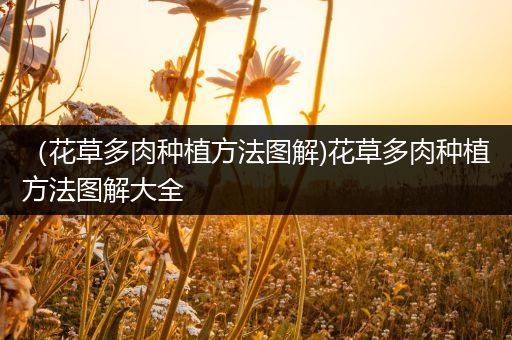 （花草多肉种植方法图解)花草多肉种植方法图解大全