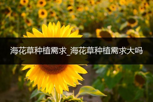 海花草种植需求_海花草种植需求大吗