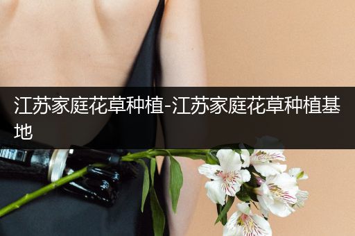 江苏家庭花草种植-江苏家庭花草种植基地