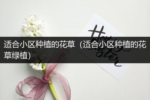 适合小区种植的花草（适合小区种植的花草绿植）