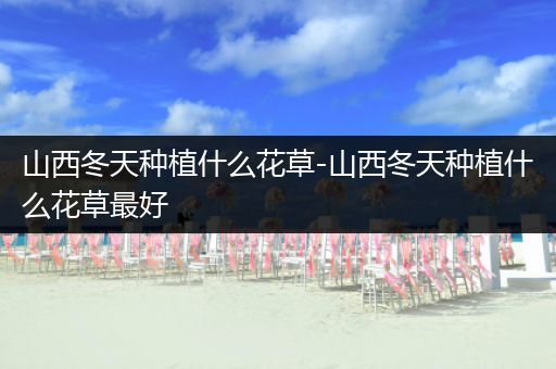 山西冬天种植什么花草-山西冬天种植什么花草最好