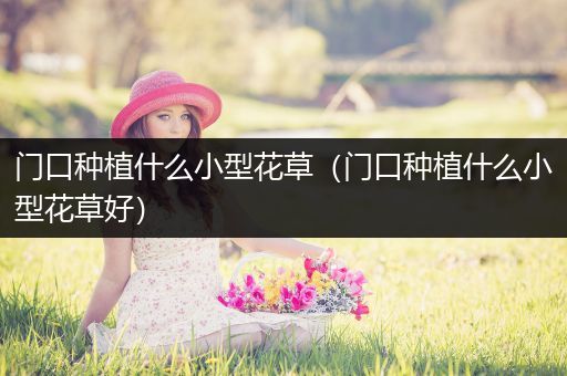 门口种植什么小型花草（门口种植什么小型花草好）