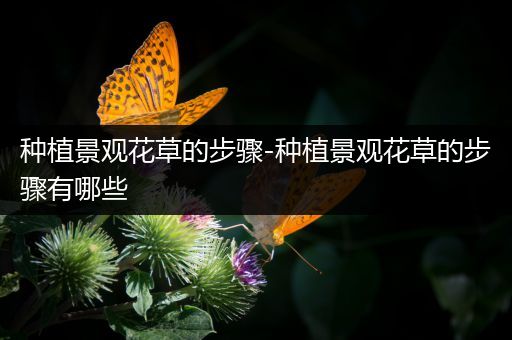 种植景观花草的步骤-种植景观花草的步骤有哪些