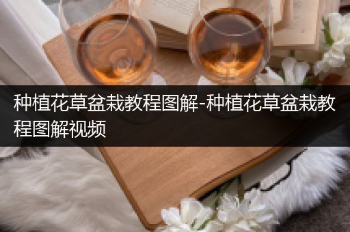 种植花草盆栽教程图解-种植花草盆栽教程图解视频