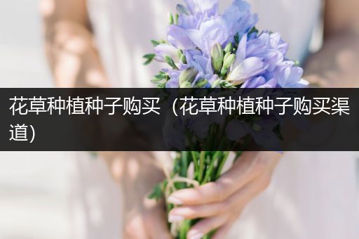 花草种植种子购买（花草种植种子购买渠道）