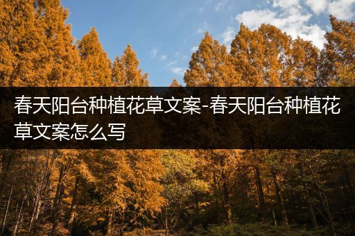 春天阳台种植花草文案-春天阳台种植花草文案怎么写