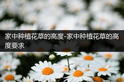 家中种植花草的高度-家中种植花草的高度要求
