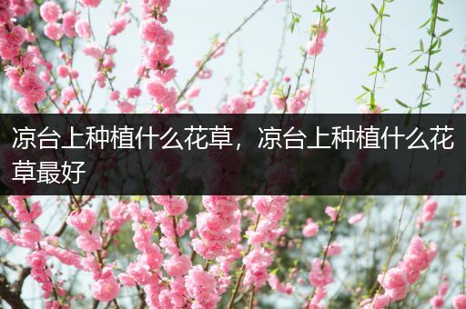 凉台上种植什么花草，凉台上种植什么花草最好