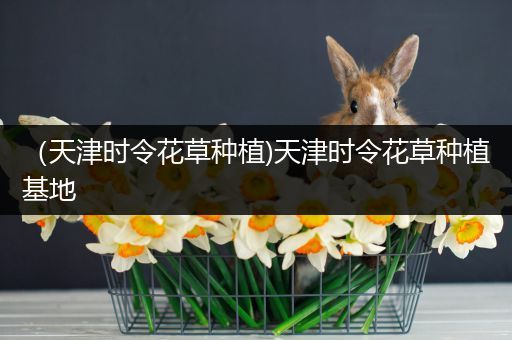 （天津时令花草种植)天津时令花草种植基地