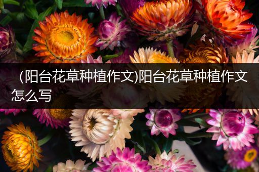 （阳台花草种植作文)阳台花草种植作文怎么写