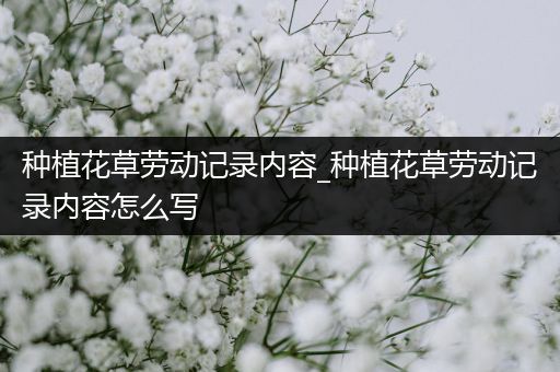 种植花草劳动记录内容_种植花草劳动记录内容怎么写